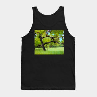 Old tree illustration Tank Top